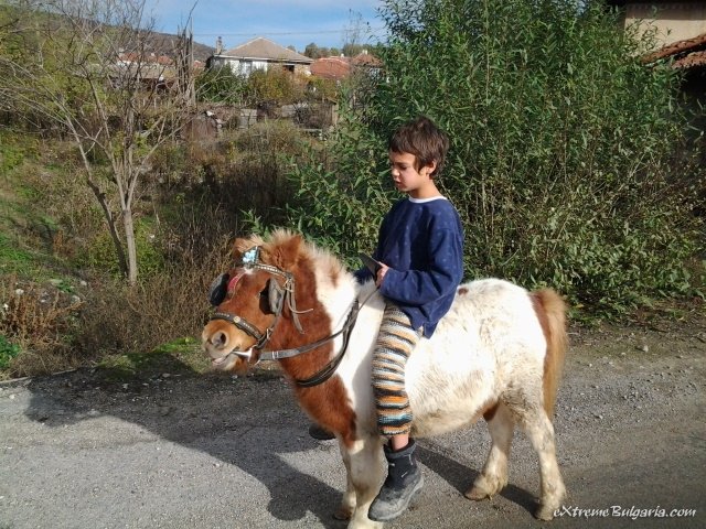 Horse riding